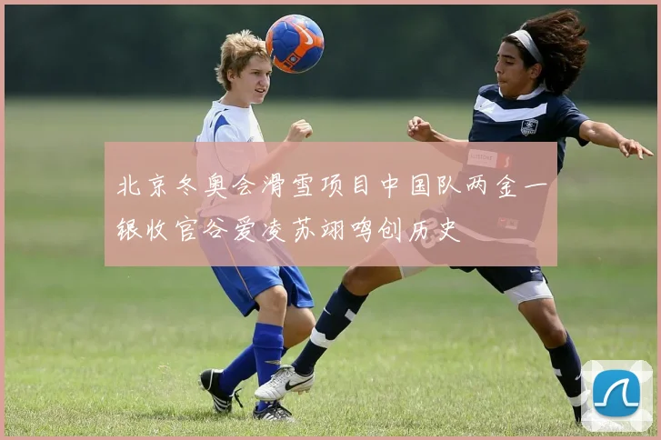 北京冬奥会滑雪项目中国队两金一银收官谷爱凌苏翊鸣创历史