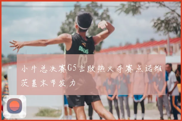 小牛总决赛G5击败热火夺赛点诺维茨基末节发力