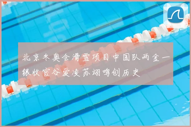 北京冬奥会滑雪项目中国队两金一银收官谷爱凌苏翊鸣创历史