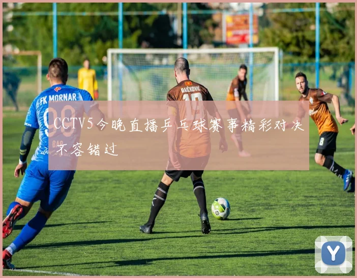 CCTV5今晚直播乒乓球赛事精彩对决不容错过