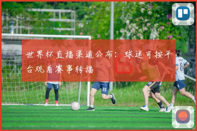 世界杯直播渠道公布:球迷可按平台观看赛事转播