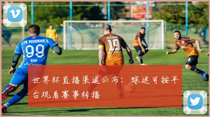 世界杯直播渠道公布:球迷可按平台观看赛事转播