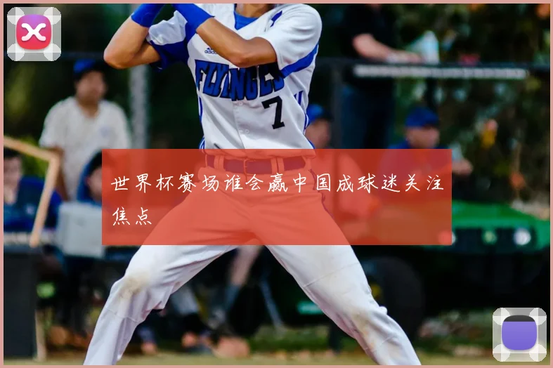世界杯赛场谁会赢中国成球迷关注焦点